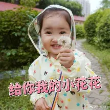 亚博平台- 辽宁男篮最新消息今天外援最新消息 