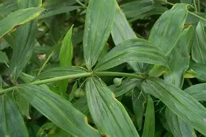 亚博体育- 刚刚！关键时刻巴塞罗那调整名单以备欧超杯哈兰德连续十二场比赛得分超过关键助攻，赛前布鲁克林篮网备战欧超杯