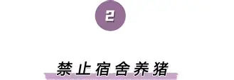文里英歌队表演 文里英歌队表演